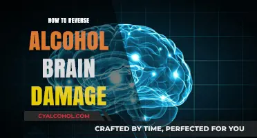 Reversing Alcohol Brain Damage: Effective Strategies for Healing and Recovery