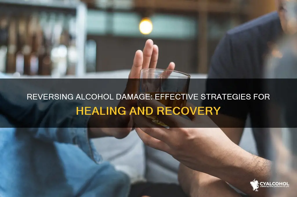 how to reverse damage from alcohol