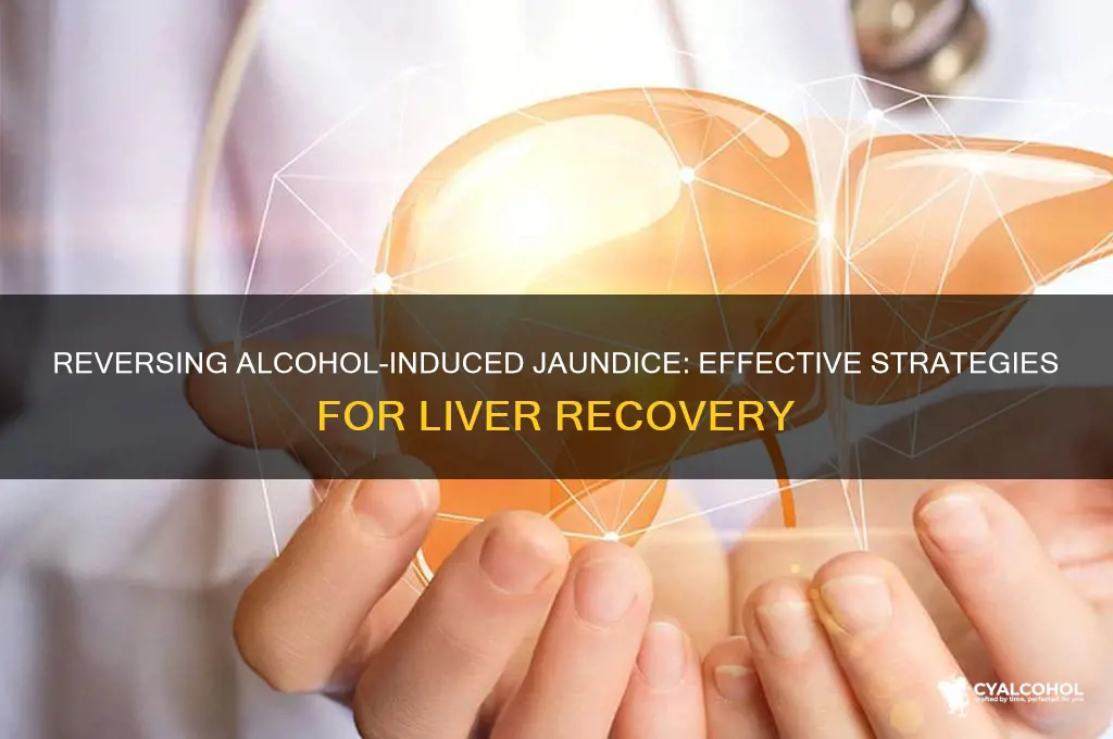 how to reverse jaundice from alcohol