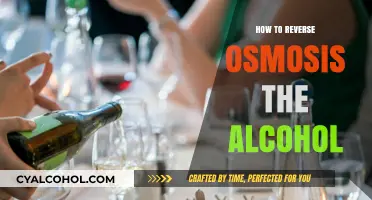 Reverse Osmosis for Alcohol Purification: A Comprehensive Guide