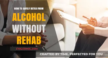 Safe Alcohol Detox at Home: A Guide to Recovery Without Rehab