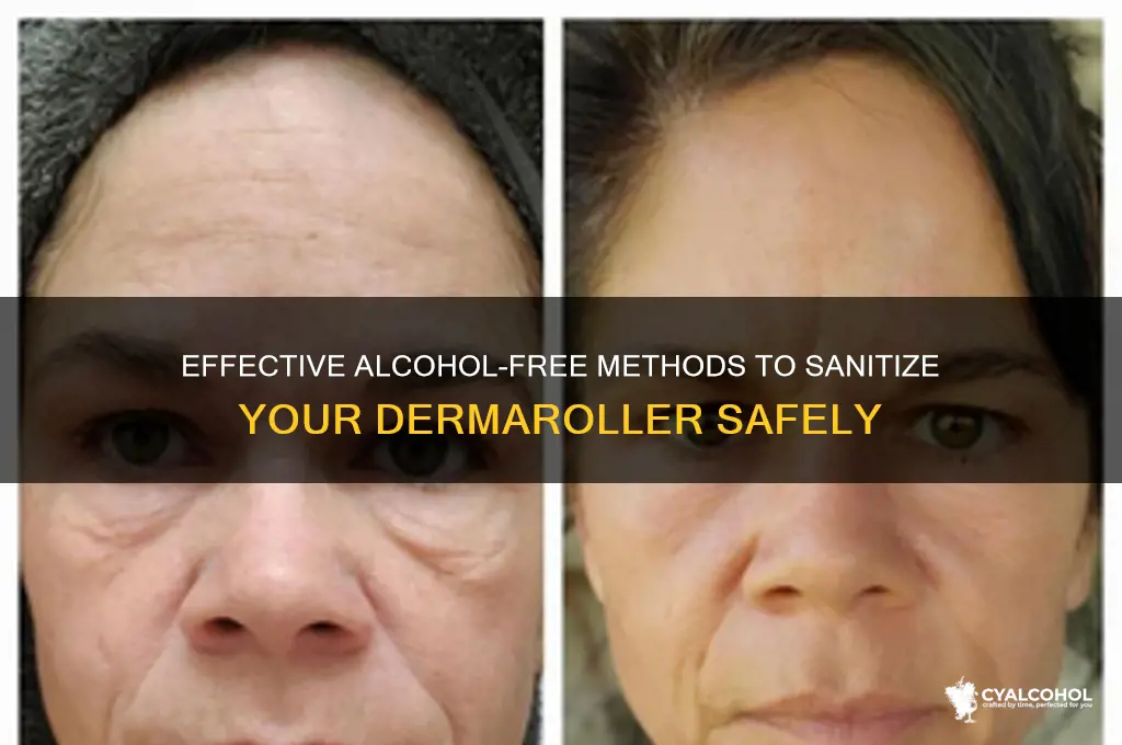 how to sanitize dermaroller without alcohol