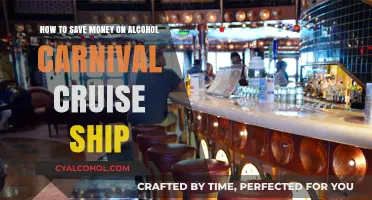 Carnival Cruise Alcohol: Saving Money, Having Fun