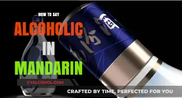 Mastering Mandarin: How to Say 'Alcoholic' in Chinese Accurately