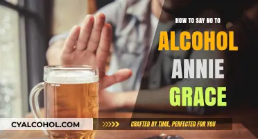 Saying No to Alcohol: Empowering Strategies from Annie Grace