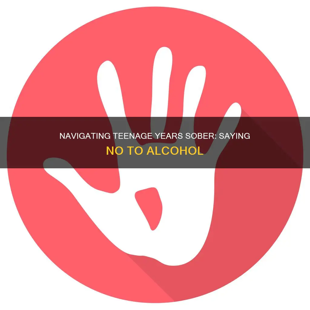 how to say no to alcohol as a teenager