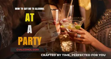 Navigating Parties Sober: Declining Alcohol Offers