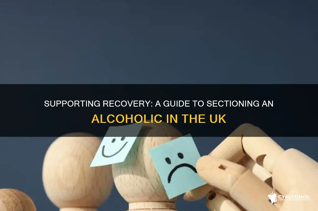 how to section an alcoholic uk