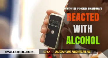 Testing Sodium Bicarbonate and Alcohol Reaction