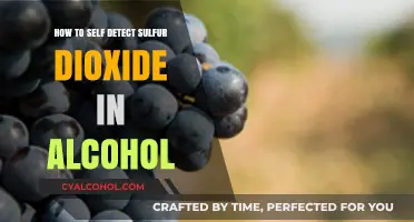 Detecting Sulfur Dioxide in Alcohol: A Simple Self-Test Guide