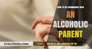 Setting Healthy Boundaries: Navigating Relationships with Alcoholic Parents