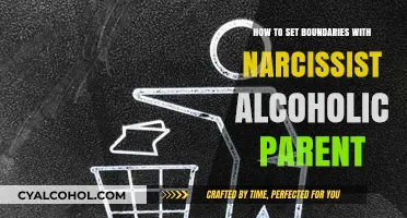 Setting Boundaries: Navigating Narcissistic Alcoholic Parent Dynamics Effectively