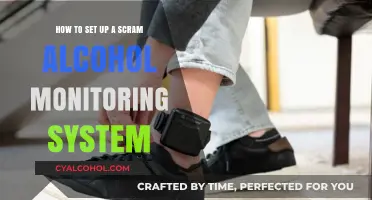 Setting Up SCRAM: A Guide to Alcohol Monitoring