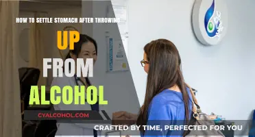 Calm Your Stomach After Alcohol-Induced Vomiting