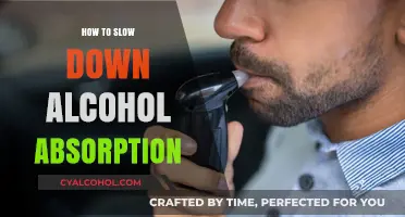 Effective Strategies to Slow Alcohol Absorption and Stay in Control