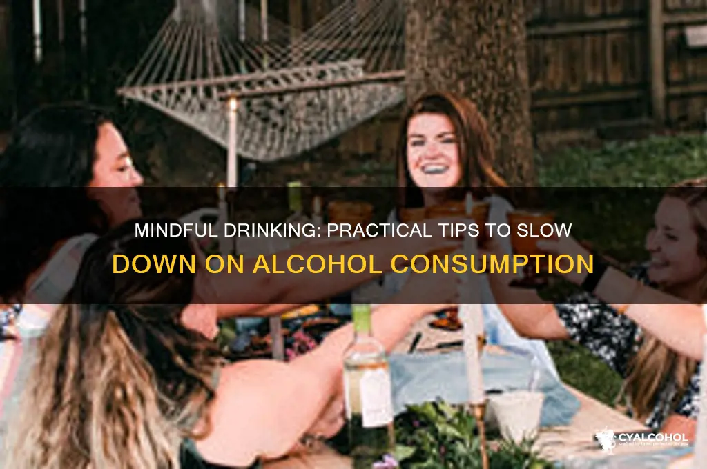 how to slow down on alcohol