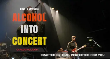 Sneaky Sips: Creative Ways to Bring Alcohol to Concerts