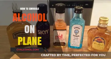 Creative Ways to Sneak Alcohol onto a Plane: Tips and Tricks