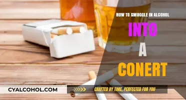 Sneaky Sips: Creative Ways to Bring Alcohol into Concerts
