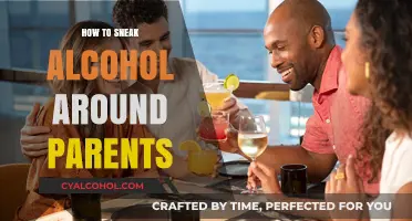 Clever Ways to Discreetly Bring Alcohol Home Without Raising Suspicion