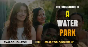 Sneaking Alcohol into Water Parks: Tips and Tricks