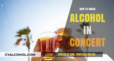 Clever Ways to Sneak Alcohol into Concerts Without Getting Caught
