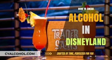 Creative Ways to Sneak Alcohol into Disneyland: Tips and Tricks