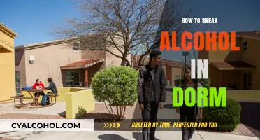 Creative Ways to Secretly Bring Alcohol into Your Dorm Room