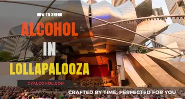 Creative Ways to Sneak Alcohol into Lollapalooza Festival