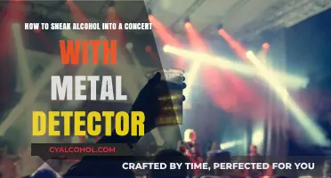 Concert Drinking: Sneaking Alcohol Past Metal Detectors