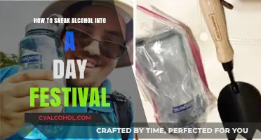 Festival Fun: Sneaking Alcohol, the Smart Way