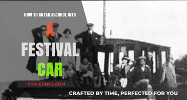 Festival Fun: Sneaking Alcohol in Your Car