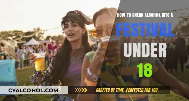 Sneaking Alcohol: Festival Fun for Underage Drinkers