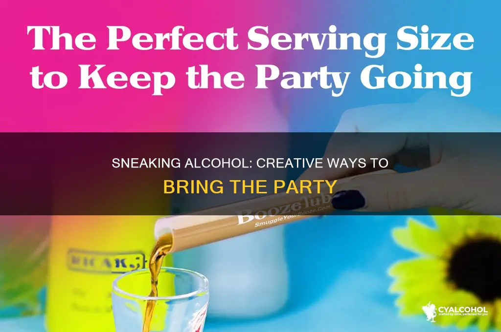 how to sneak alcohol into a house party