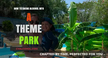 Sneaking Alcohol into Theme Parks: Creative Ways to Enjoy a Drink