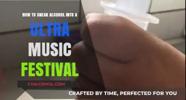 Sneaking Alcohol: Ultra Music Festival Edition