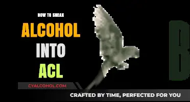Clever Tips for Sneaking Alcohol into ACL Festival Safely