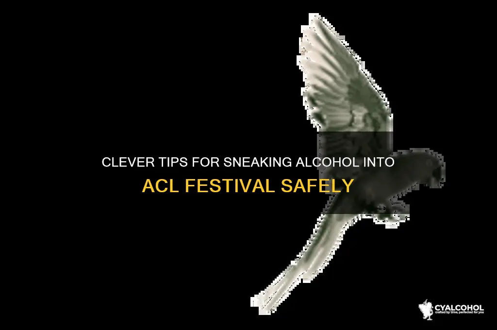 how to sneak alcohol into acl