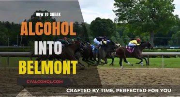 Clever Tips for Sneaking Alcohol into Belmont Park Events