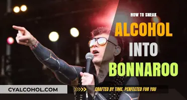 Clever Tips for Sneaking Alcohol into Bonnaroo Festival