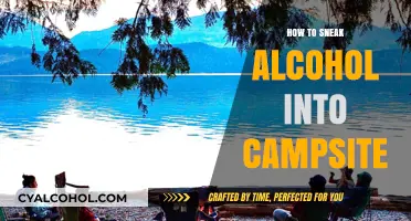 Clever Ways to Smuggle Alcohol into Your Campsite Undetected