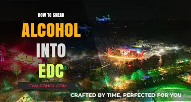 Creative Ways to Discreetly Bring Alcohol to EDC Festival