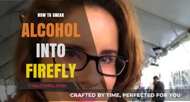 Clever Tips to Sneak Alcohol into Firefly Music Festival