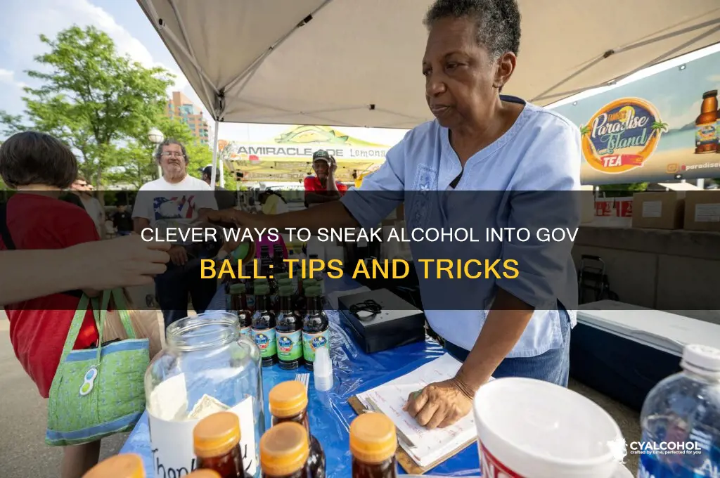 Clever Ways To Sneak Alcohol Into Gov Ball: Tips And Tricks | CyAlcohol