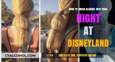 Sneaking Alcohol into Grad Night: A Disneyland Guide