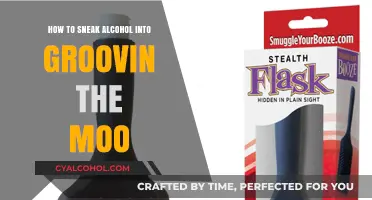 Sneaking Alcohol into Groovin the Moo: Tips and Tricks