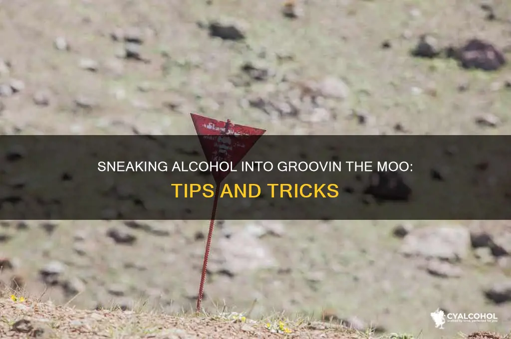 how to sneak alcohol into groovin the moo