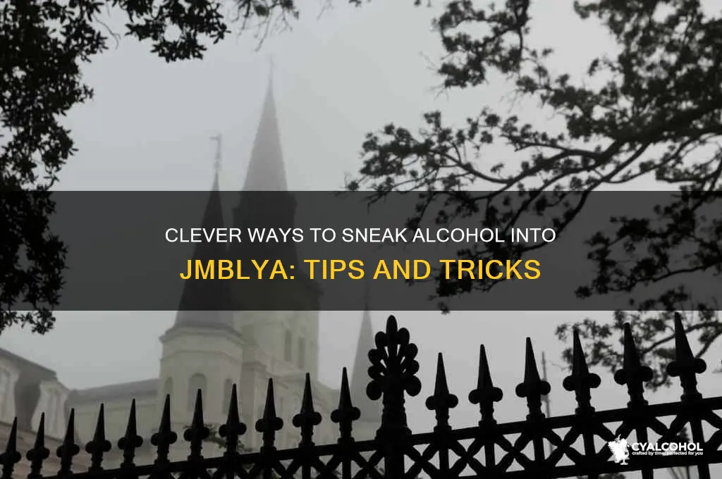 how to sneak alcohol into jmblya