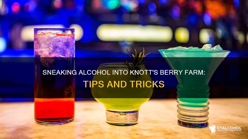 how to sneak alcohol into knott