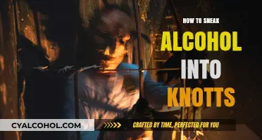 Clever Tips for Sneaking Alcohol into Knott's Berry Farm
